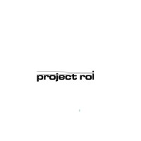 Project ROI LLC Logo