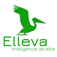 Elleva Mx Logo