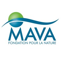 MAVA Foundation Logo