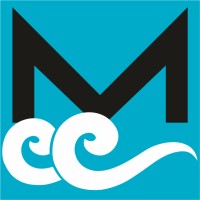 METIS Cyberspace Technology Logo