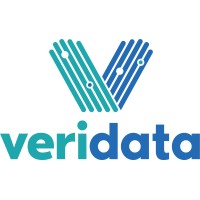 VeridataIT Logo