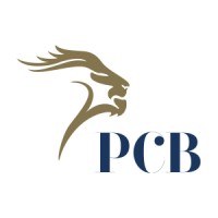 Puch Construction & Building Logo