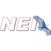 NEI Logo