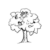 BerkConsult Logo