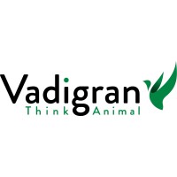 Vadigran Logo