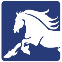 Stallion Textiles (Pvt.) Ltd. Logo