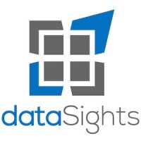 dataSights Logo