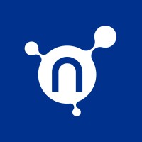 Netris Logo