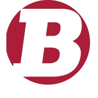 Badiee Development Logo