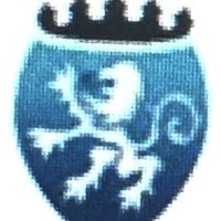 Charles N Charge Home & Office Solutions LLC Logo