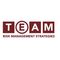 TEAM Risk Management Strategies Logo