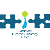 Geisel Consulting Ltd Logo