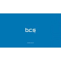 Business Consulting and Solutions Logo