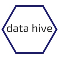 Data Hive Logo