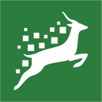 Springbok Digital, Inc. Logo