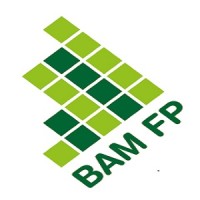 BAM Financial Planning Logo