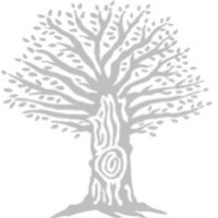 Novactum. Innovate better together. Logo