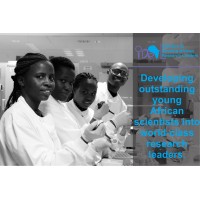 Initiative to Develop African Research Leaders (IDeAL) Logo