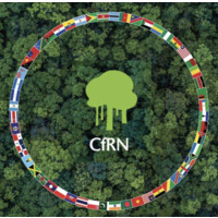 Coalition for Rainforest Nations Logo