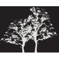 OAK+MADRONE MANAGEMENT GROUP Logo