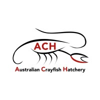 Australian Crayfish Hatchery Logo