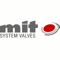 MIT (Wuhan) System Valves Co., Ltd. Logo