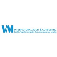 VM INTERNATIONAL AUDIT CONSULTING Logo