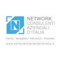 Consulenti Aziendali d Italia Logo