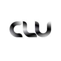 CLU - Unternehmensberater Logo