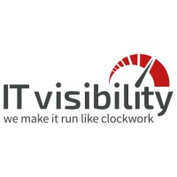 IT visibility Logo