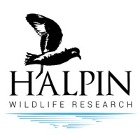 Halpin Wildlife Research Logo