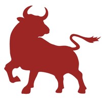 Pamplona Capital Logo