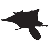 Flying Squirrel Experiences, LLC Logo