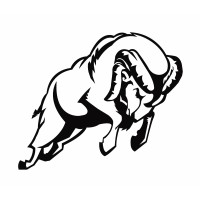 Mouflon Investment Fund AIF V.C.I.C PLC Logo