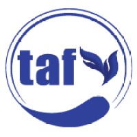 The Ark Fellowship Logo