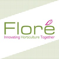Floré Groep Logo