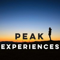 Peak Experiences I Global Experiential Learning & Leadership Logo