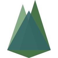 Digital Mountaineers, LLC. Logo