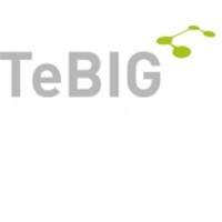 TeBIG GmbH Logo