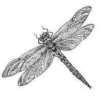 Miranda Wedekind Onderwijsbegeleiding Logo