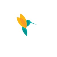 Silver Lining Group - Clear Financial Solutions Logo