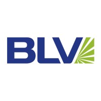 BLV - a brand of the Ushio Group Logo