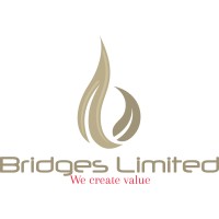 Bridges Limited Logo