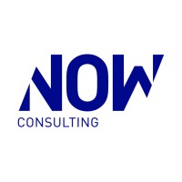 NOW Consulting - a Qrious company Logo