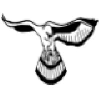 Nighthawk Investigations Logo
