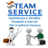 Team Service Srl Logo