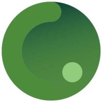 Zeenat Al Mansoori & Associates Full Law Practice Logo