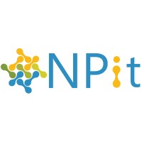 NPit Consulting & Service GmbH Logo