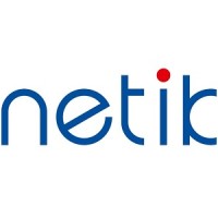 Dr. Netik & Partner GmbH Logo