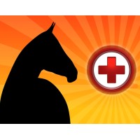 All Vegas Horses / L.E.A.N. Logo